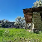 Trieste - Ricetto Гостевой дом 3*