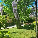 Trieste - Ricetto Гостевой дом