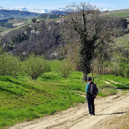 Πανσιόν Trieste - Ricetto