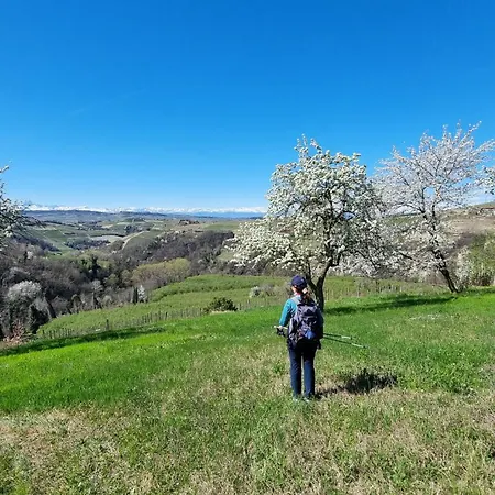בית הארחה Trieste - Ricetto *