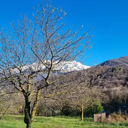 Πανσιόν Trieste - Ricetto Boves