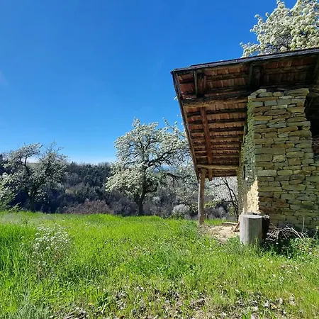 Trieste - Ricetto Πανσιόν 3*